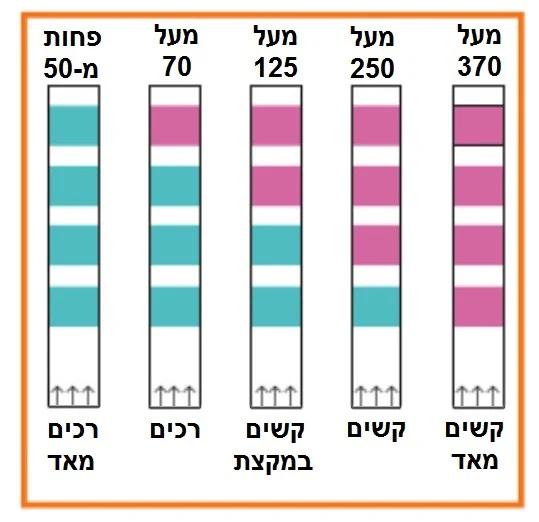 תמונה ממוזערת 2
